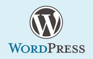 Read more about the article How to Make a WordPress Website in 2024